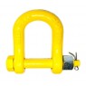 Titan G80 Wide Mouth D Shackle